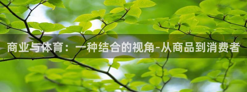 关键词：商业与体育：一种结合的视角-从商品到消费者