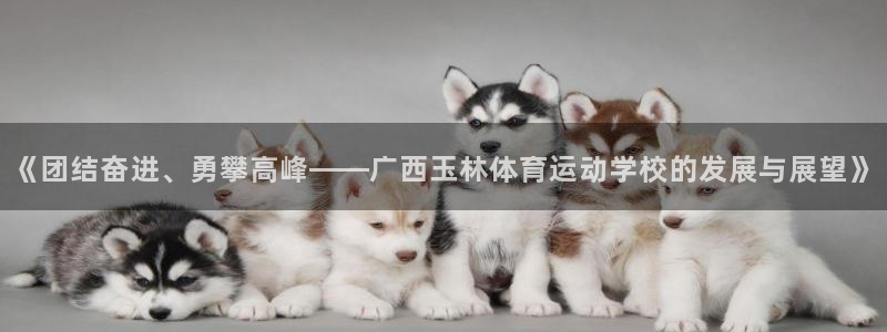 24体育直播吧：《团结奋进、勇攀高峰——广西玉林体育运动学校的发展与展望》