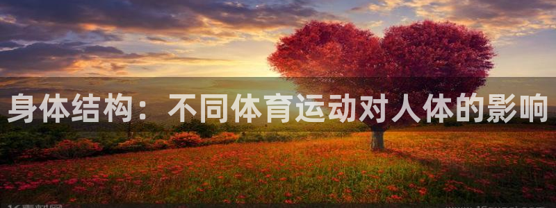关键词：身体结构：不同体育运动对人体的影响