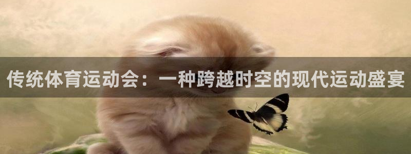 24体育网：传统体育运动会：一种跨越时空的现代运动盛宴