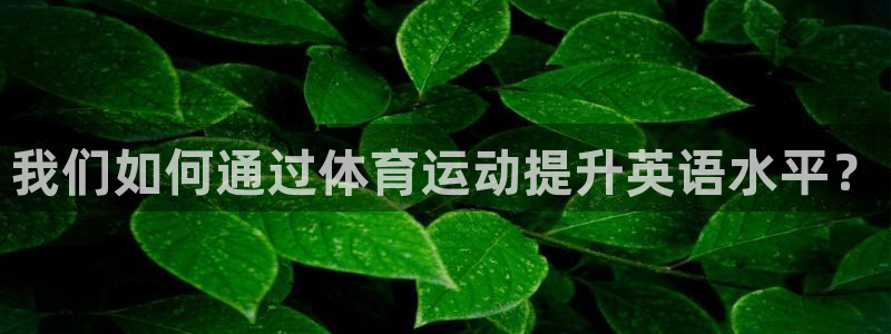 24体育赛事直播网：我们如何通过体育运动提升英语水平？